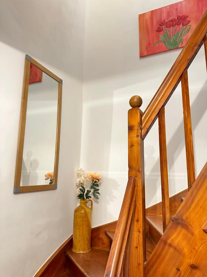 Green Paradise & Cozy Retreat Salzburg With Free Parking Exteriör bild